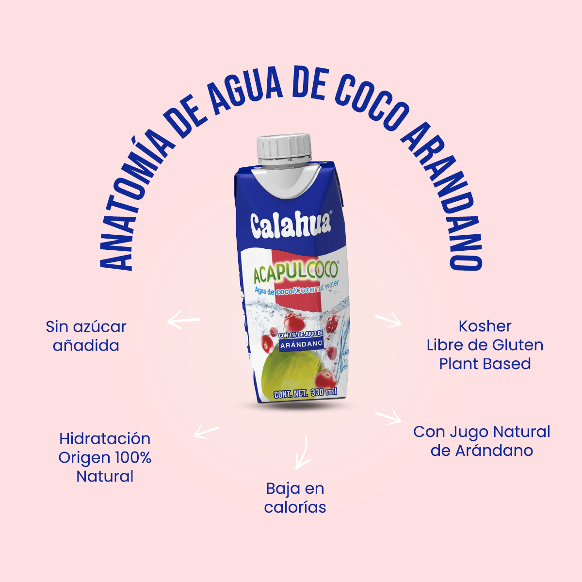 arandano anatomia