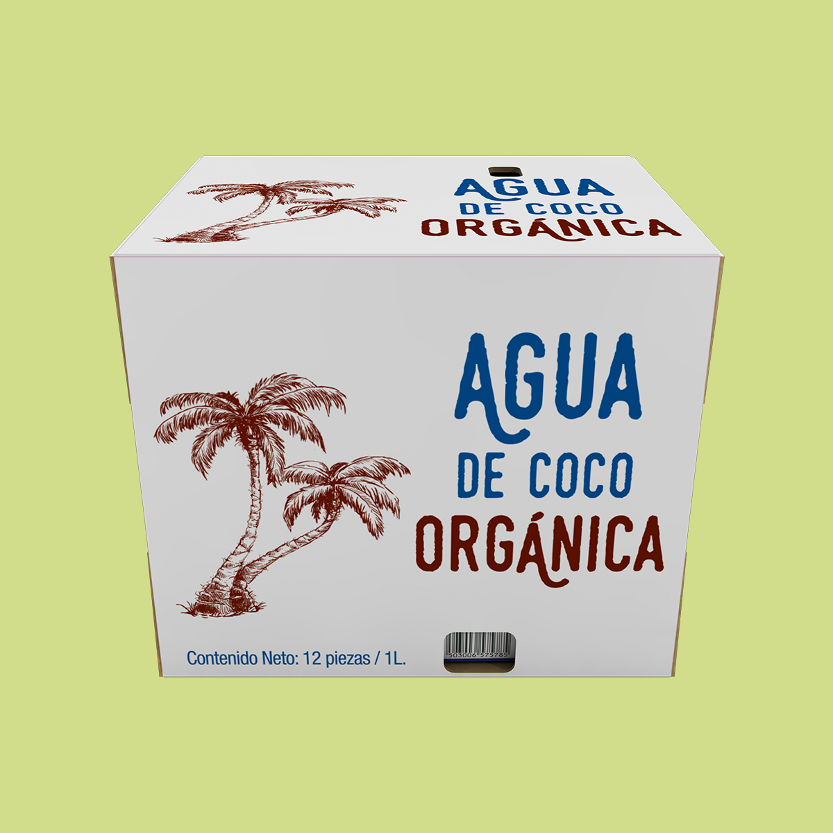 caja 12