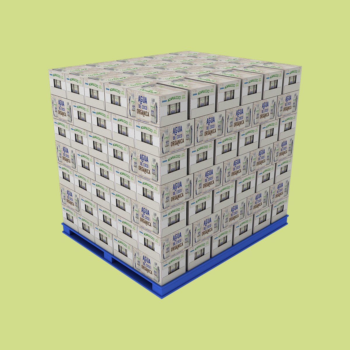 pallet de 12