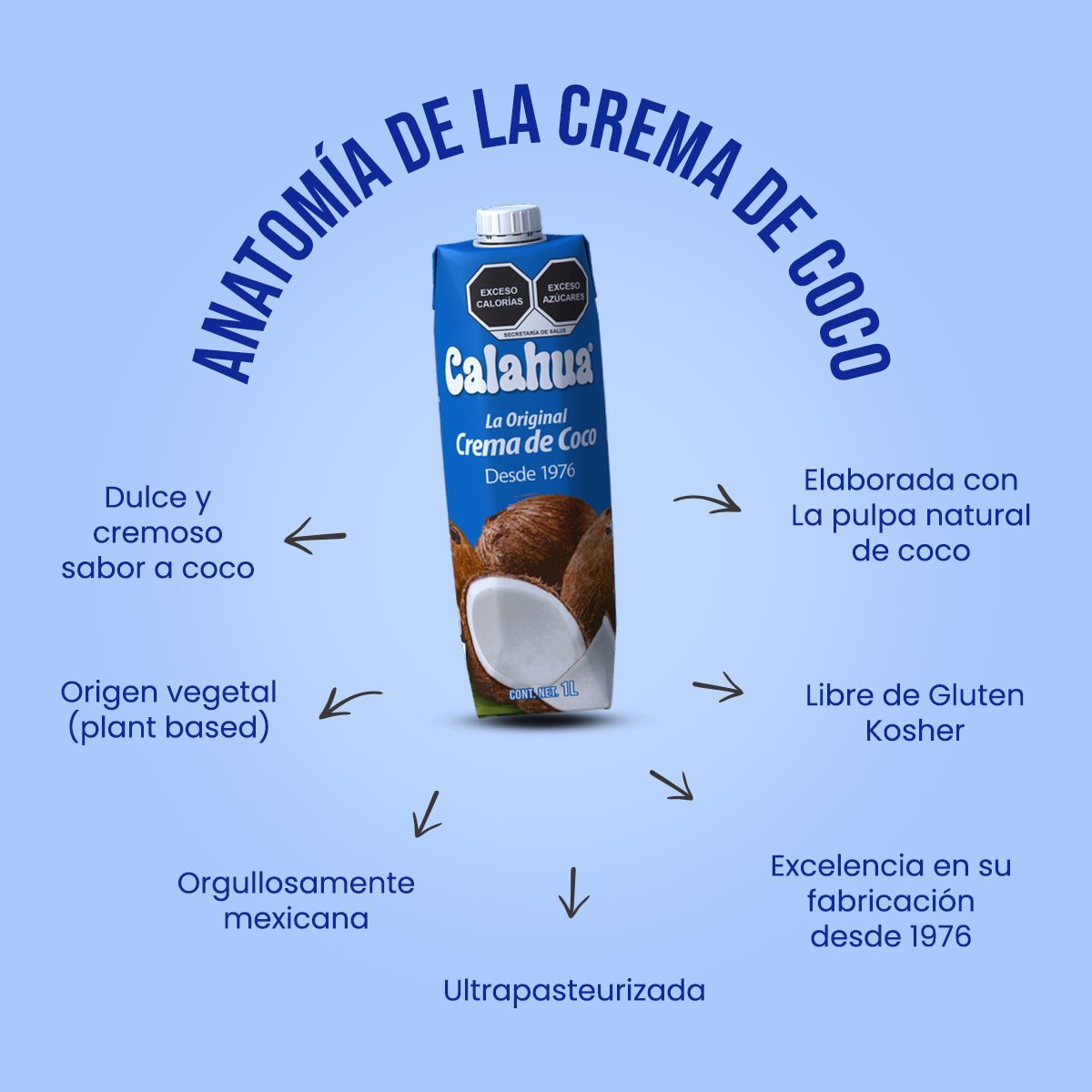 anatomia