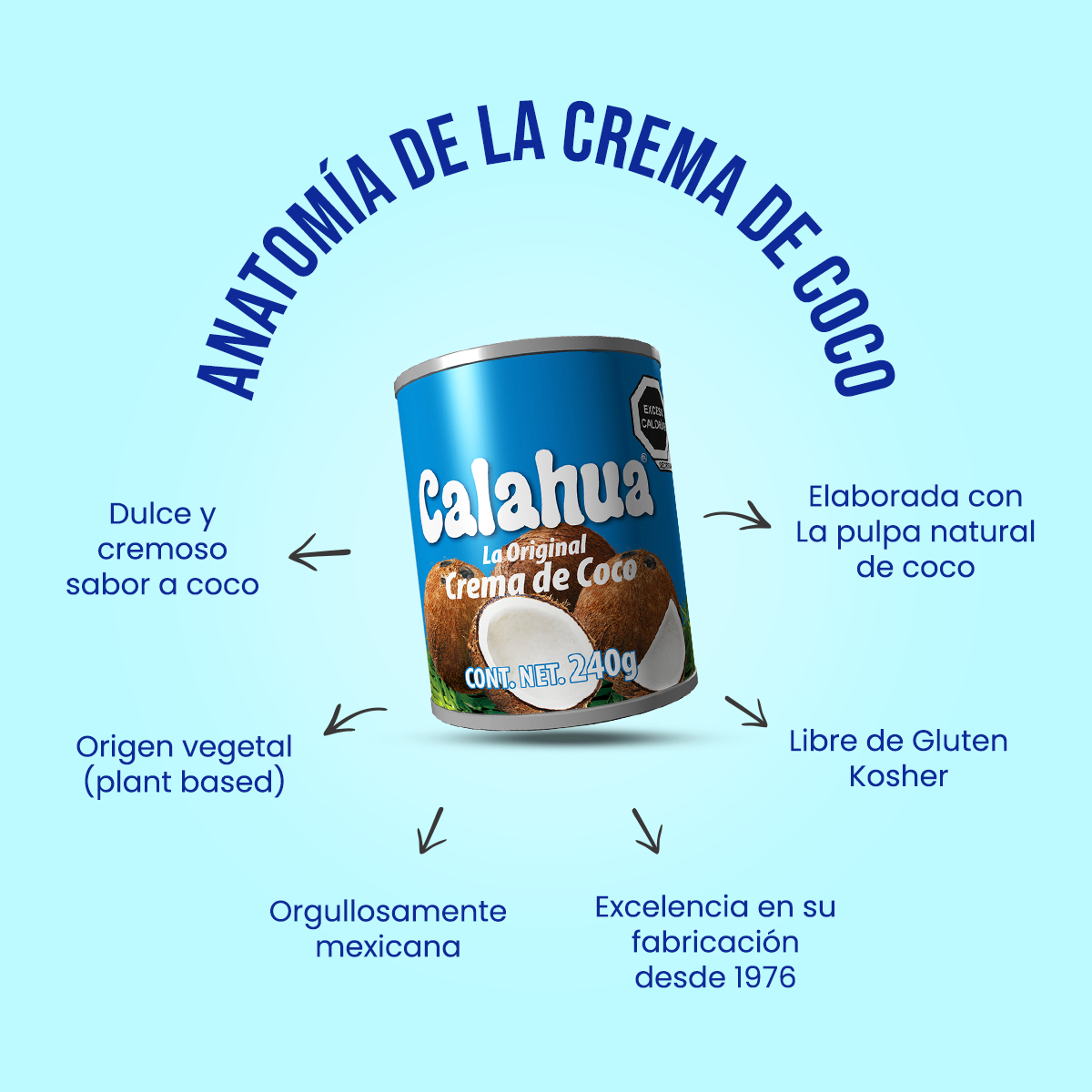 anatomia