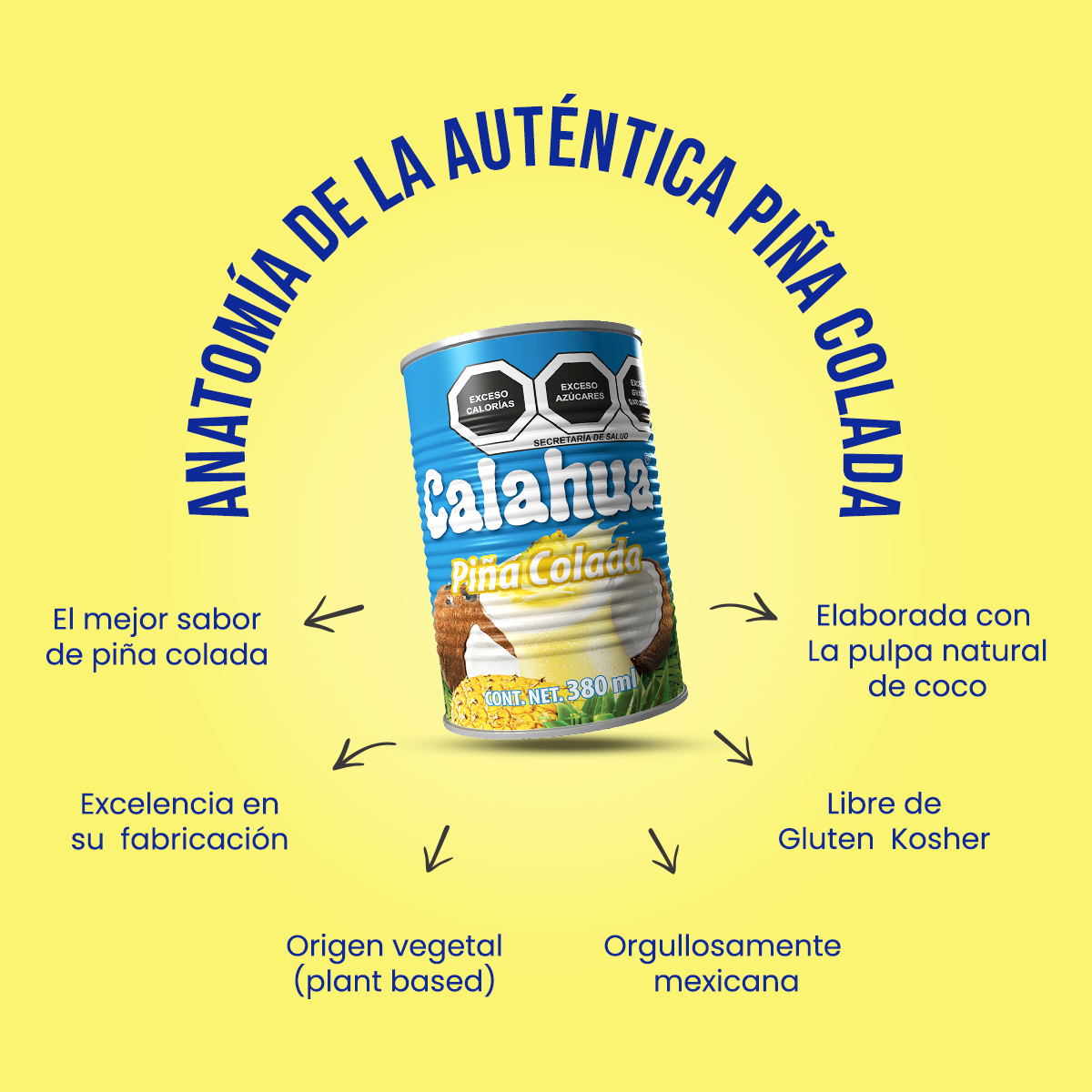 anatomia