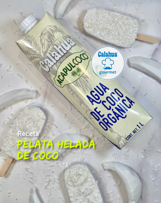 Paletas heladas de coco
